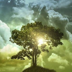 Meet your Posher, Xavier